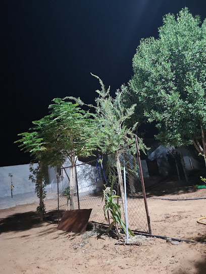 مزرعة شلفاح - Saudi Arabia|Uthal 52628|HPXR+CR
