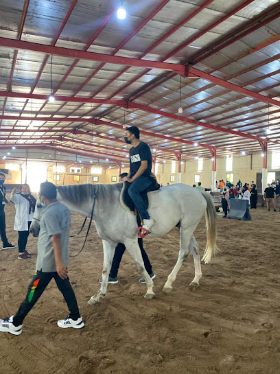 مركز اس ماجيك للتدريب و التأهيل بالفروسية - Saudi Arabia|Safwa 32714|2844، الدريدي، صفوى 32715 7239،