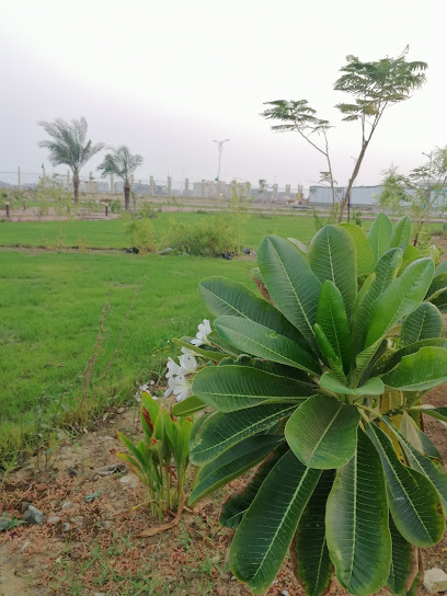 Students Garden - Jazan 82817،