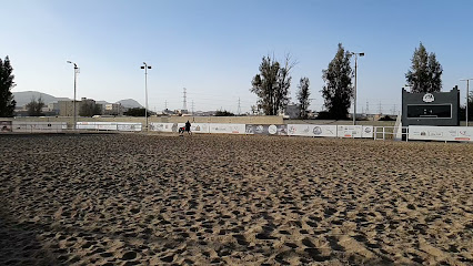 نادي الوسم للفروسية - Khamis Mushait - +966 50 045 5966