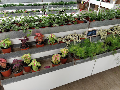 Dhahran Garden Group - Dhahran -