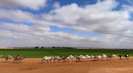 مزرعة الباطن | Al Batin Farm - Al Ghat -