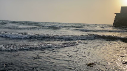 حديقة المرجان - Jazan - +966 17 329 0000