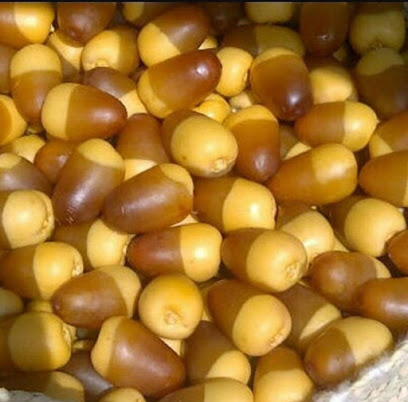مزرعة زياد الشظيفي أبوطارق - Yanbu Al Nakhal -