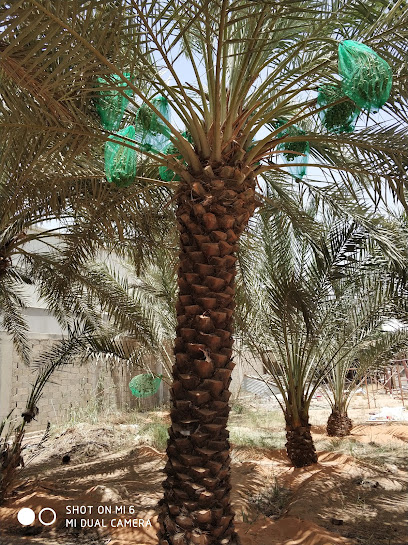 Mirror Riyadh Warehouse Harjot - Riyadh 14531
