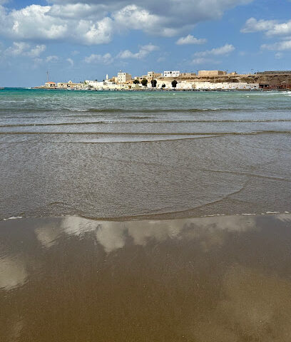 الصقاله - Al Wajh -