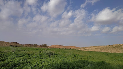 مزرعة سلطان السحيم المغيدر - Al Majma'ah -