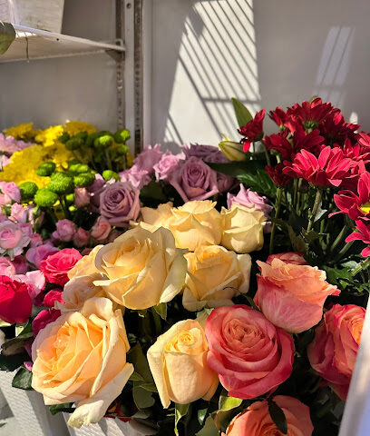 الهدية الفخمة - Dammam - +966 50 961 3011