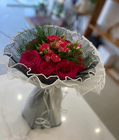 الزهرة المتألقة - Hail - +966 55 081 5481