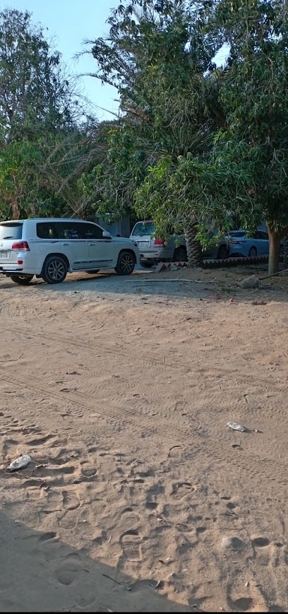 مزرعة حسين شراحيلي - Saudi Arabia|Abu Arish 86232،|GOWA2770، 2770 غلبينيه 217، 6685،