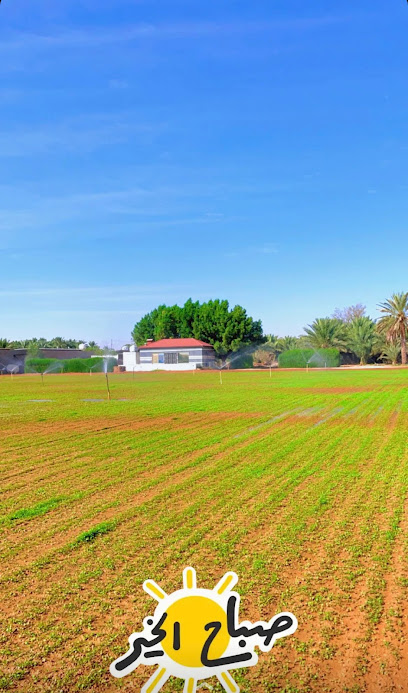 مزرعة ابناء الشيخ عبدالرحمن ابن جاسر العمور الدوسري - Saudi Arabia|Ad Dilam 16231،|OKGA4793، 4793 الدلم 329،|7210،