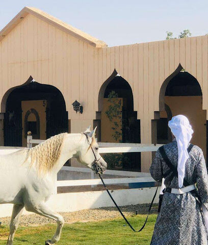 مربط الركيان للخيل العربية الأصيلة -  - +966 55 383 3542