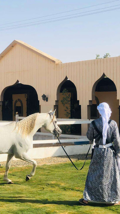 مربط الركيان للخيل العربية الأصيلة - Saudi Arabia|2917 الدوادمي 17437