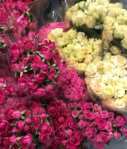 مؤسسة الوردة الوردية للتجارة - Buraydah - +966 56 665 5688