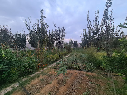 Parents’ Farm - Baljurashi -
