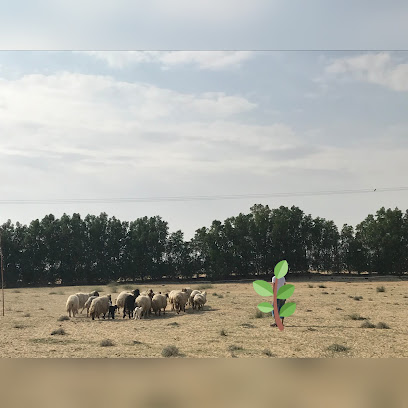 AlGhanam Farm -  -