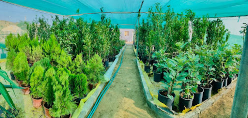 مشتل الريف - Al Bahah - +966 53 253 8852