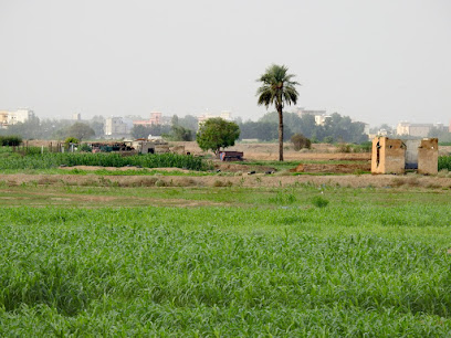 الوادي جنوب الدريعيه -  -