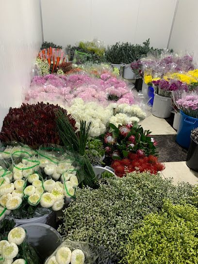 LAYAN FLOWER - Saudi Arabia|Al Khobar 34441|Madinat Al Umal|حي
