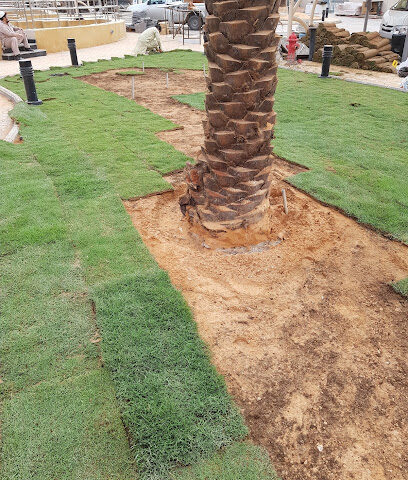 CC Contracting - Riyadh - +966 53 706 3003