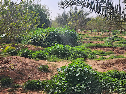الراشدية - Shaqra -