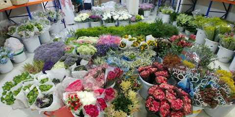 Bloomax Flowers Ltd. - Riyadh - +966 53 908 8611