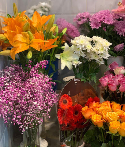 كازابلانكا - Dammam - +966 56 353 5938