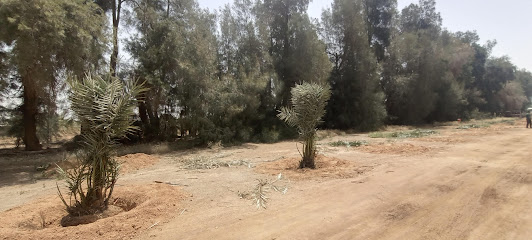 شركة مزارع الضيف للإنتاج الزراعي.الإدارة - Uyun Al Jawa - +966 16 330 8000