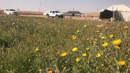 مزرعة الماجدية Almajedia’s farm - Tumair - +966 50 442 4474