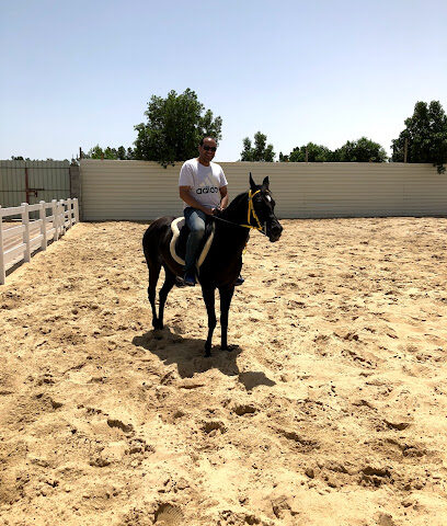 مربط الفريح للخيل العربية Alfraih Stud - Dammam - +966 54 364 8277