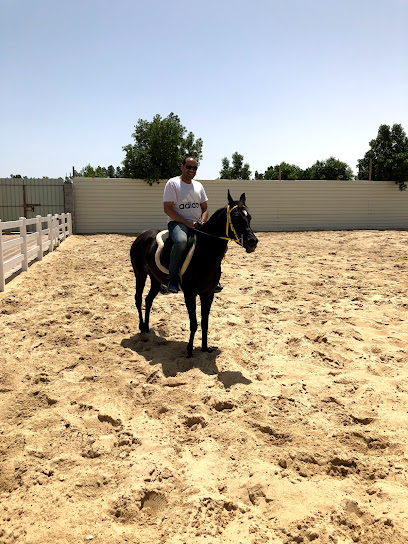 مربط الفريح للخيل العربية Alfraih Stud - Saudi Arabia|Dammam 32247|An Nahdah|شارع أبو حدرية
