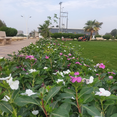 حديقه عامة - Abu Arish - +966 50 578 9106