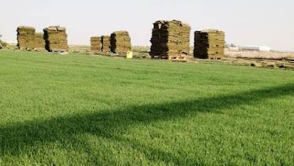 ثيل طبيعي سي ألفين -  - +966 56 586 4996