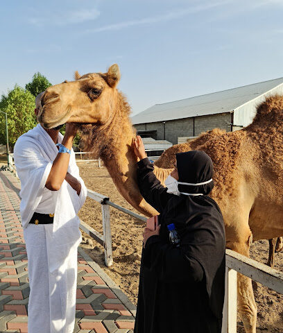Wadi Berkat Dato Ibu - Mecca - +966 56 906 7313