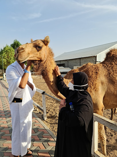 Wadi Berkat Dato Ibu - Saudi Arabia|Mecca 24327|Al Hamra Umm Al Jud|Near Umm Al Joud
