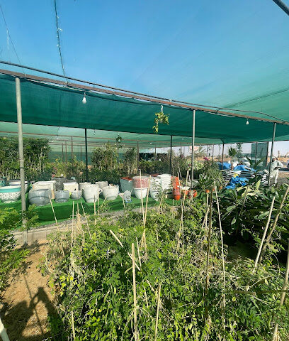 مشتل حدائق الابلق - Tabuk - +966 55 793 9666