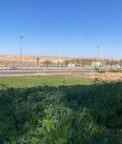 منتزه - Sakaka -