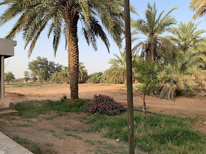 مزرعة المهندس محمد الهويريني ENGR MOHAMMED ALHWEIRINY FARM - Al Bukayriyah -
