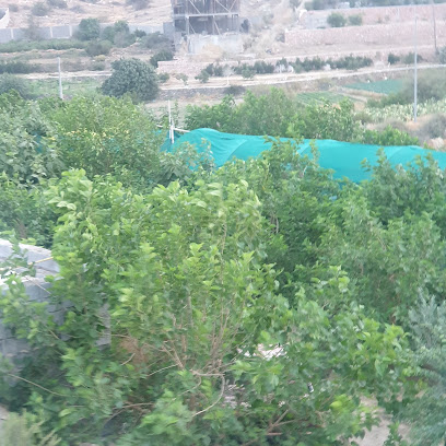 مزرعة احمد النمري - Alhada - +966 55 355 5336