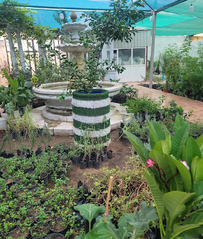 مشتل الصبار - Mecca - +966 55 570 8343