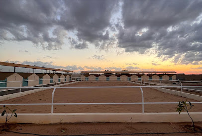 مربط العِراب للخيل العربية - Yanbu - +966 56 685 8248
