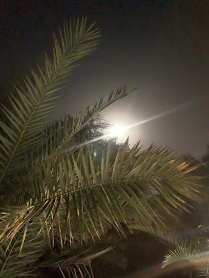 مزرعة التويقعي. - Saudi Arabia|Al Fuqayyir 48328|38GJ+JQ