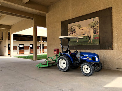 King AbdulAziz Military Academy Equestrian Club - Al Uyaynah -