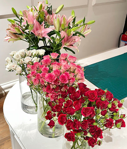 مايا | MAYA - Sakaka - +966 50 603 1169