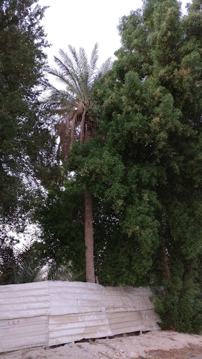 La Mentala Farm - Saudi Arabia|Al Qatif 32652|Halatmahish