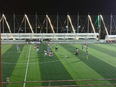 football stadium - Al Bahah -
