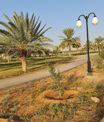 حديقة المصيف - Az Zulfi -