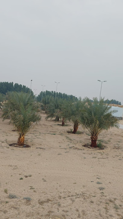 مزرعة الفراج - Saudi Arabia|Buqayq 33238|3G5X+J46
