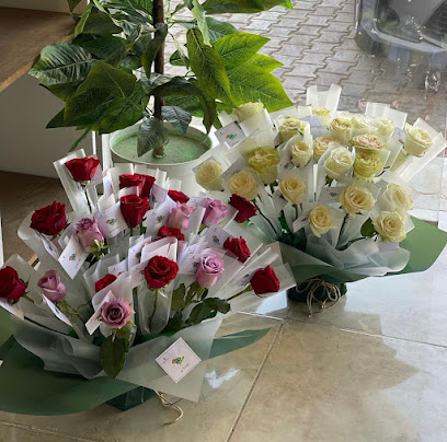 فيان للورد - Arar - +966 50 989 6602