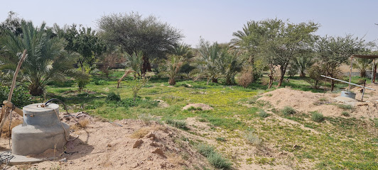 مزرعة الناصرية - الرياض - +966 50 511 3182